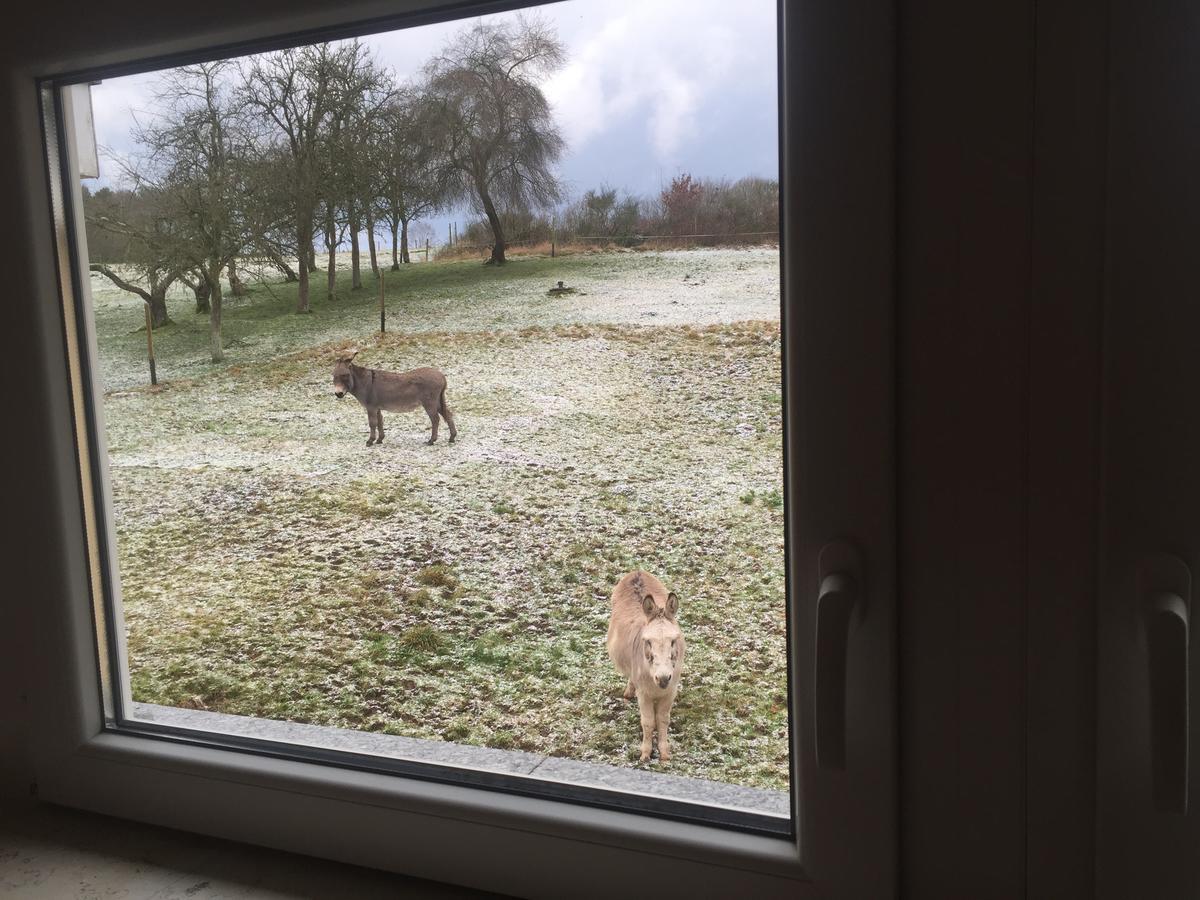 Hotel Am Rossberg Altenahr Eksteriør bilde